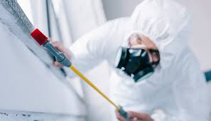 Best Pest Control for Multi-Family Homes  in Rainsville, AL